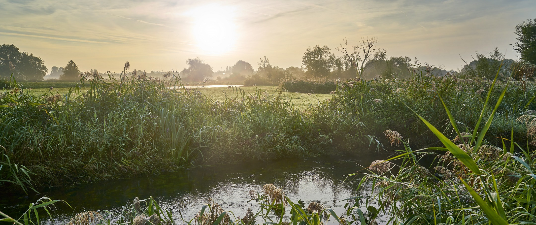 Grüne Wiesen und ein Fluss im Hintergrund.