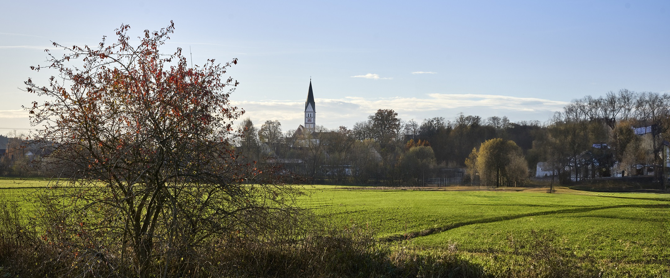 Wiesen , Bäume und ein Ort mit Kirchturm.